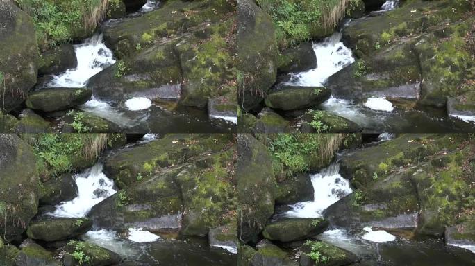 黑森林中的特里贝格瀑布