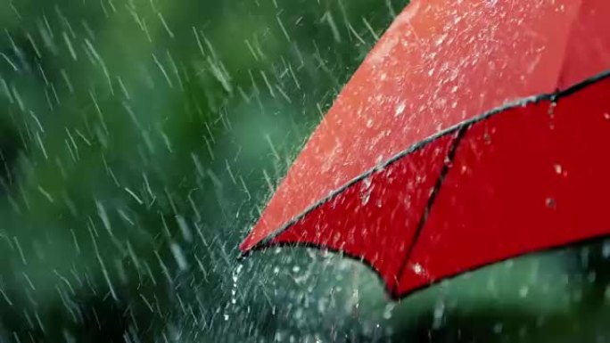大雨落在红色的雨伞上