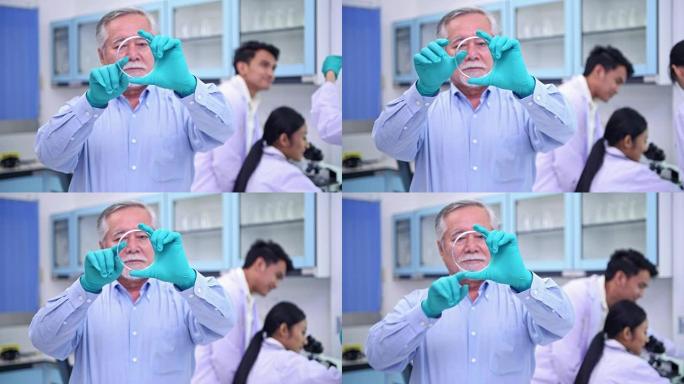 在实验室肖像中工作的科学家。资深中国男科学家与他的团队一起从事实验室肖像工作。