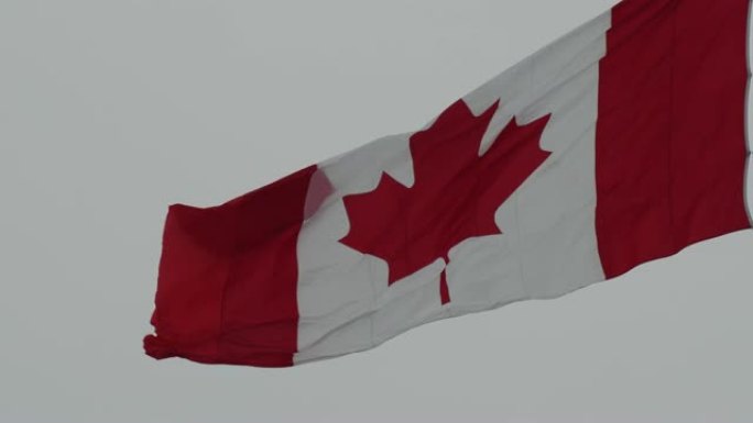加拿大的国旗在冬季高高飘扬在加拿大的首都