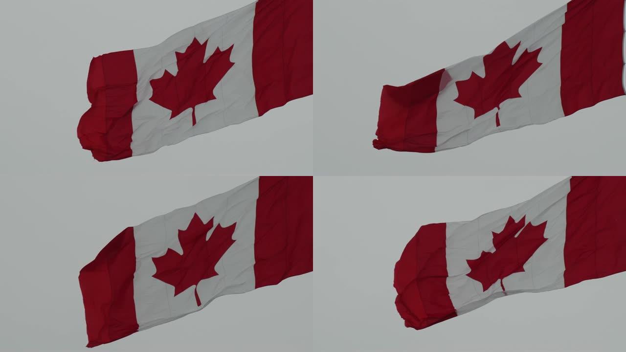 加拿大的国旗在冬季高高飘扬在加拿大的首都