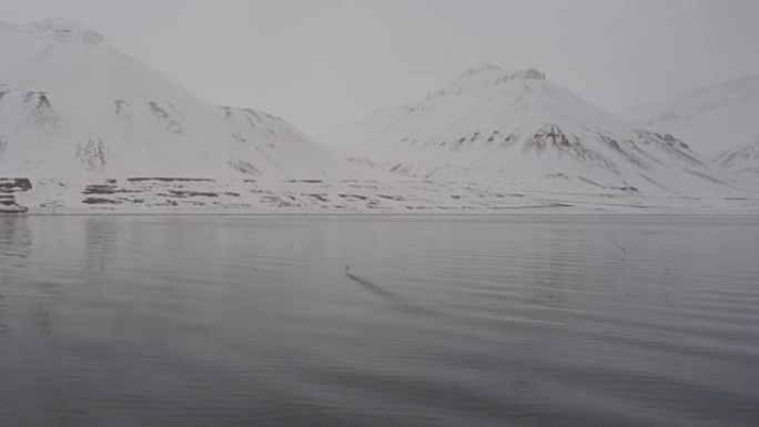 斯瓦尔巴群岛上的雪山山脉和大海