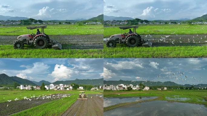 【4K无水印】航拍夏天耕种