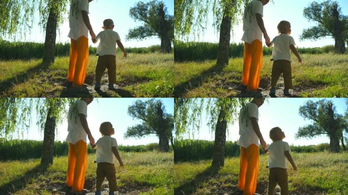 在夏日和爸爸一起穿过绿色公园时，小孩抬头在一棵高大的树上。年轻的父亲和可爱的儿子在户外共度时光。背景