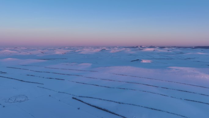 东北冬日起伏的雪原暮色