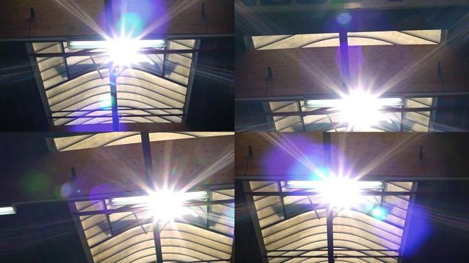 太阳的光线穿过植物的玻璃屋顶