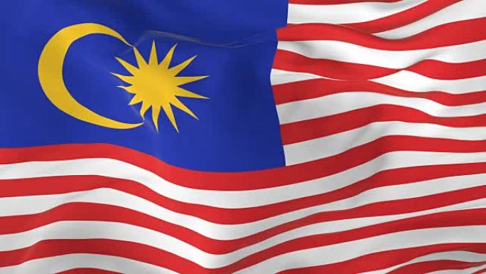 挥舞着环形旗帜作为背景马来西亚