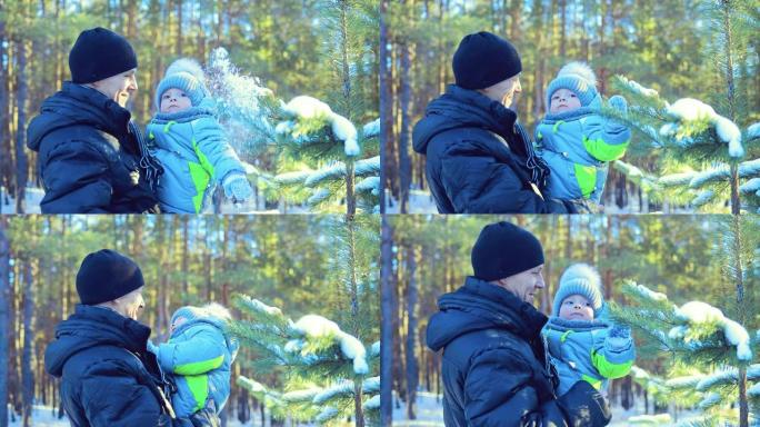 爸爸和他的儿子在树林里。用云杉甩掉雪。特写