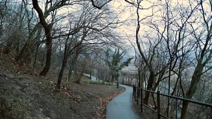 空旷的公园路，树木光秃秃，环境怪异。寒冷的冬季