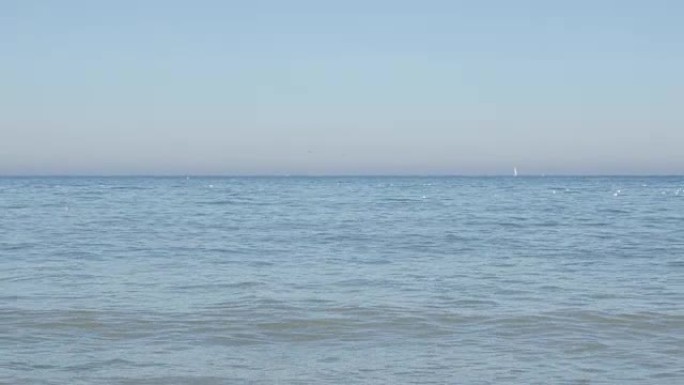 美丽的海洋蓝色沙滩风景，海鸥和海浪4k