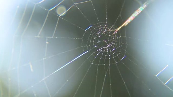 蜘蛛网上的露水