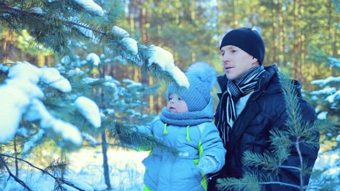 儿子和爸爸站在枞树旁看着它。甩掉雪。特写