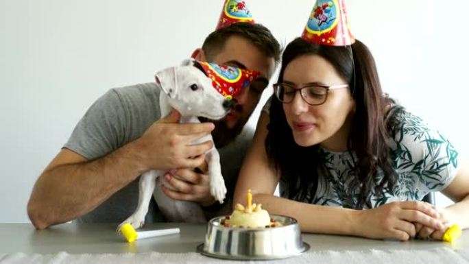 年轻夫妇庆祝狗的生日