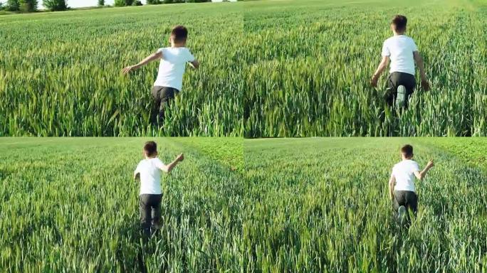 下午，在温暖的天气里，男孩正背在田间的小麦上奔跑。