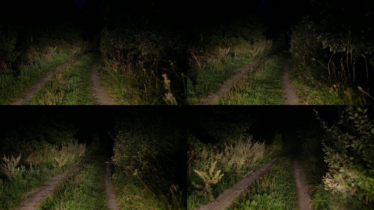 在灌木丛里的车灯下在糟糕的乡村道路上行驶
