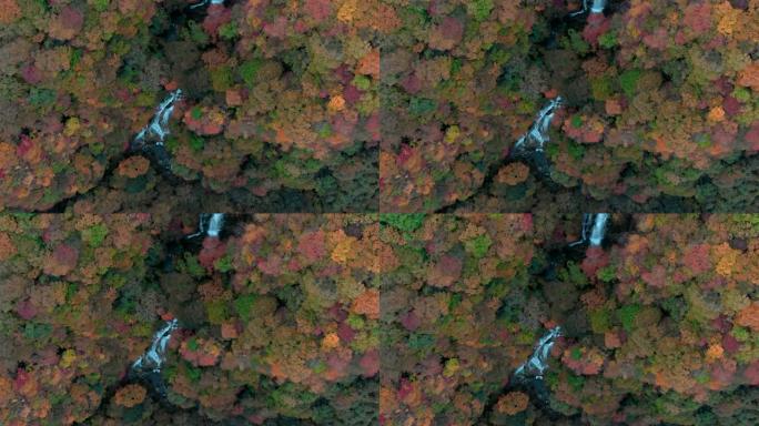日本Tochigi日光基里福里瀑布和秋叶的鸟瞰图