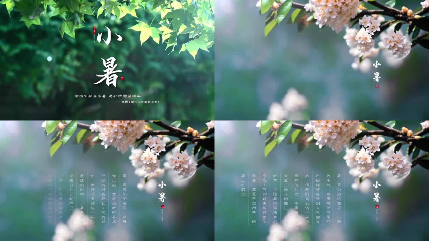 二十四节气——小暑