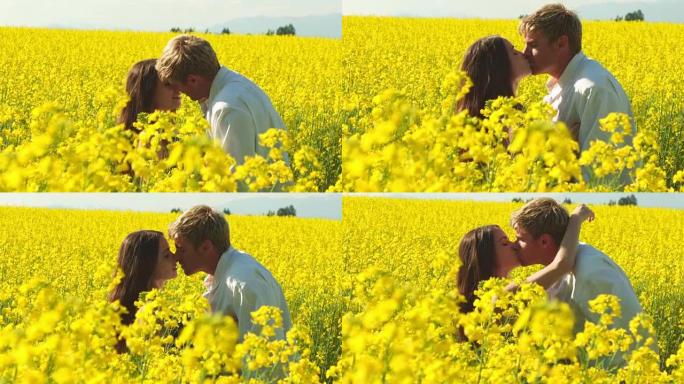 一对恋爱中的年轻夫妇在黄花的空地上亲吻