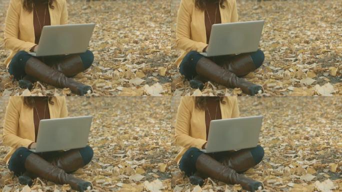 在公园里的笔记本电脑上工作的女孩在公园里阳光明媚的秋天。