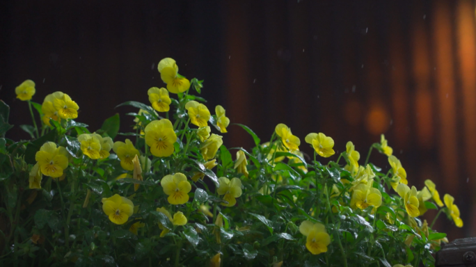 下雨天