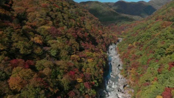 日本to木日光龙京谷和秋叶的鸟瞰图