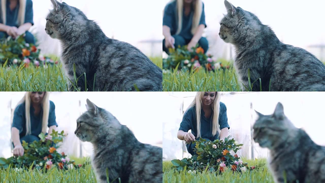 女孩收集一束玫瑰，在前景中坐着一只猫