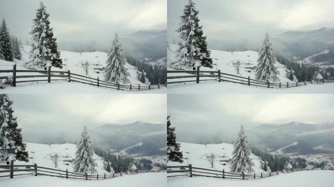 冬天的山脉。乡村景观。被雪覆盖的树木。新年快乐。冬季故事。