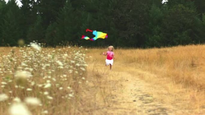 小女孩穿过放风筝的田野。宽镜头。