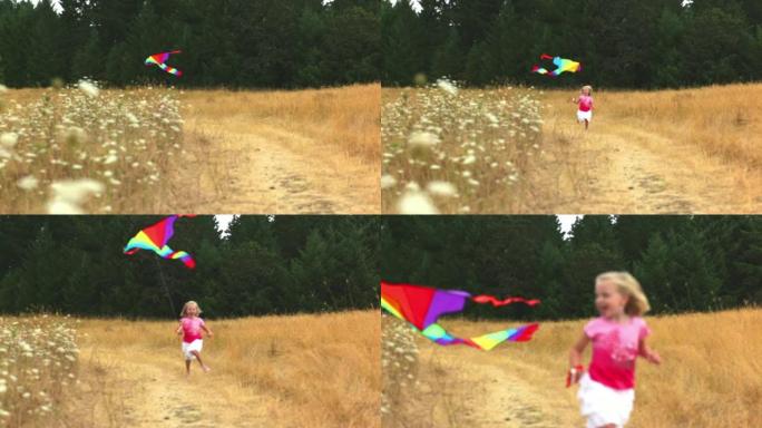 小女孩穿过放风筝的田野。宽镜头。