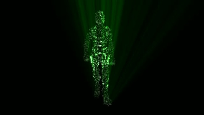 行走的人前视图绿灯3D渲染动画循环