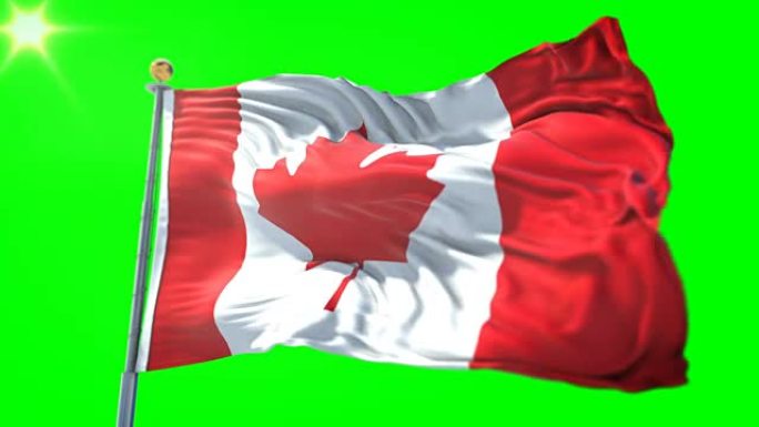 加拿大国旗无缝循环3D渲染视频。美丽的纺织布织物环摆动