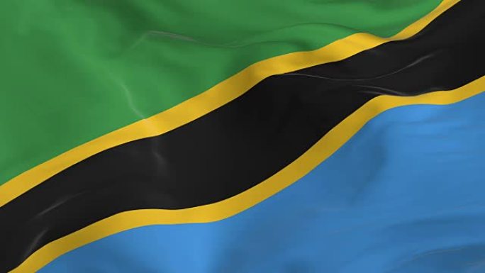 挥舞着环形旗帜作为背景坦桑尼亚