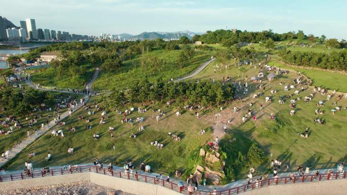 青岛小麦岛航拍