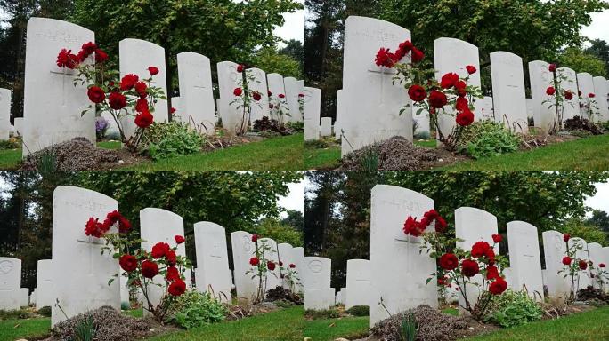 比利时的WW1遗产: 新的英国公墓，坟墓和玫瑰