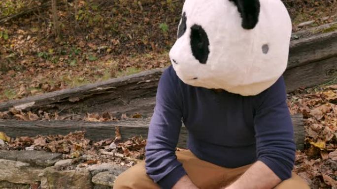 男子头戴熊猫头罩行动悲伤哭泣