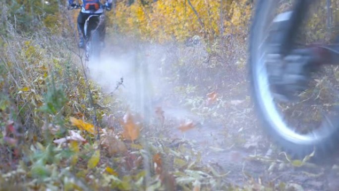 摩托车手在秋天的森林中骑行。摩托车沿着木头小路穿过，踢着干燥的落叶。骑自行车的人在大自然中训练。户外