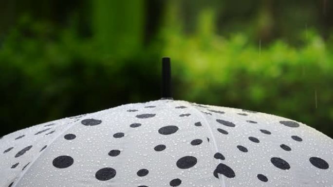 圆点伞在雨中，风险管理理念。