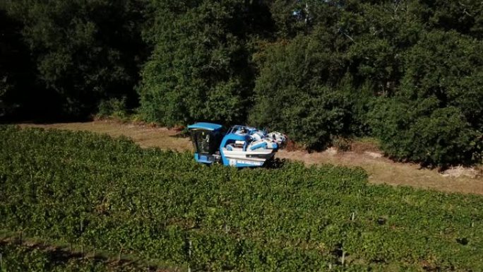 葡萄收割机，葡萄酒之乡用收割机收获葡萄的鸟瞰图，法国波尔多葡萄园景观的无人机视图
