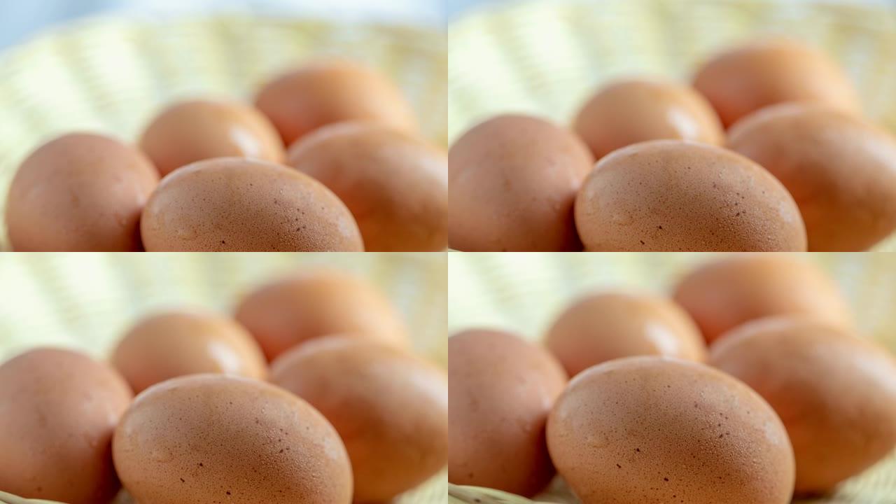 放大摄像头: 鸡蛋，4K