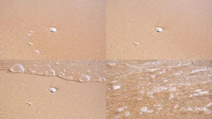海浪在海滩上的贝壳。