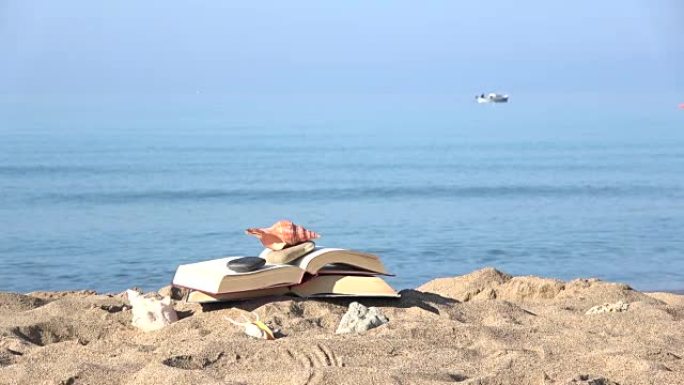 海滩和沙滩上的书