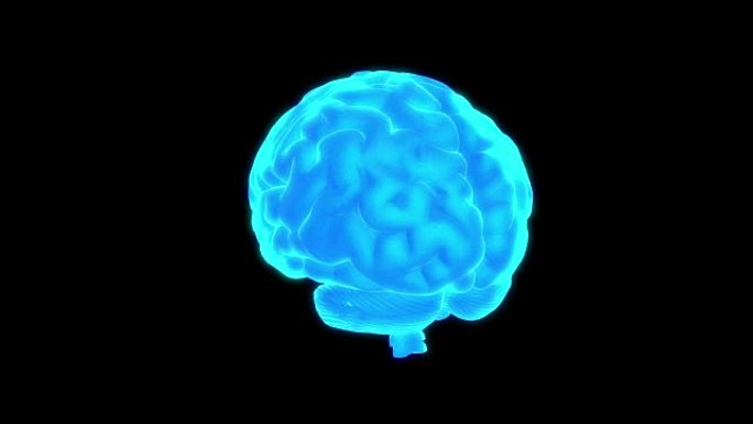 人脑扫描。