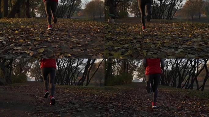 跑步者女人的脚在秋天的路上奔跑在鞋子上特写镜头。女性健身模型户外秋季慢跑在覆盖着落叶的道路上锻炼。运
