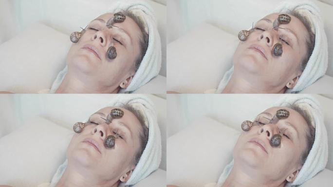 蜗牛粘液目前用于人体化妆品