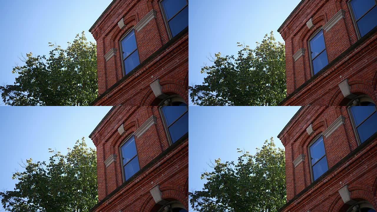 树附近二层红砖建筑的建立镜头