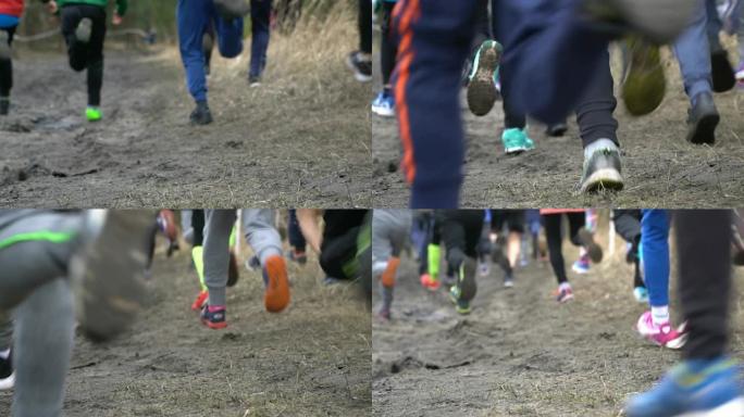 健康的年轻人早上跑步。在乡村小径上慢跑的年轻男女组合，专注于腿。