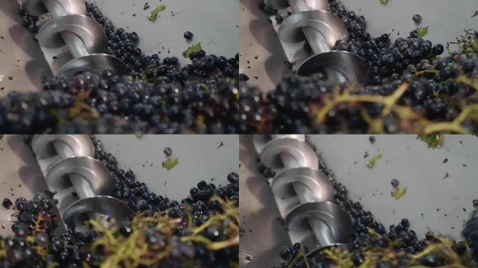 用压榨机挤压葡萄。在酿酒厂酿酒，特写