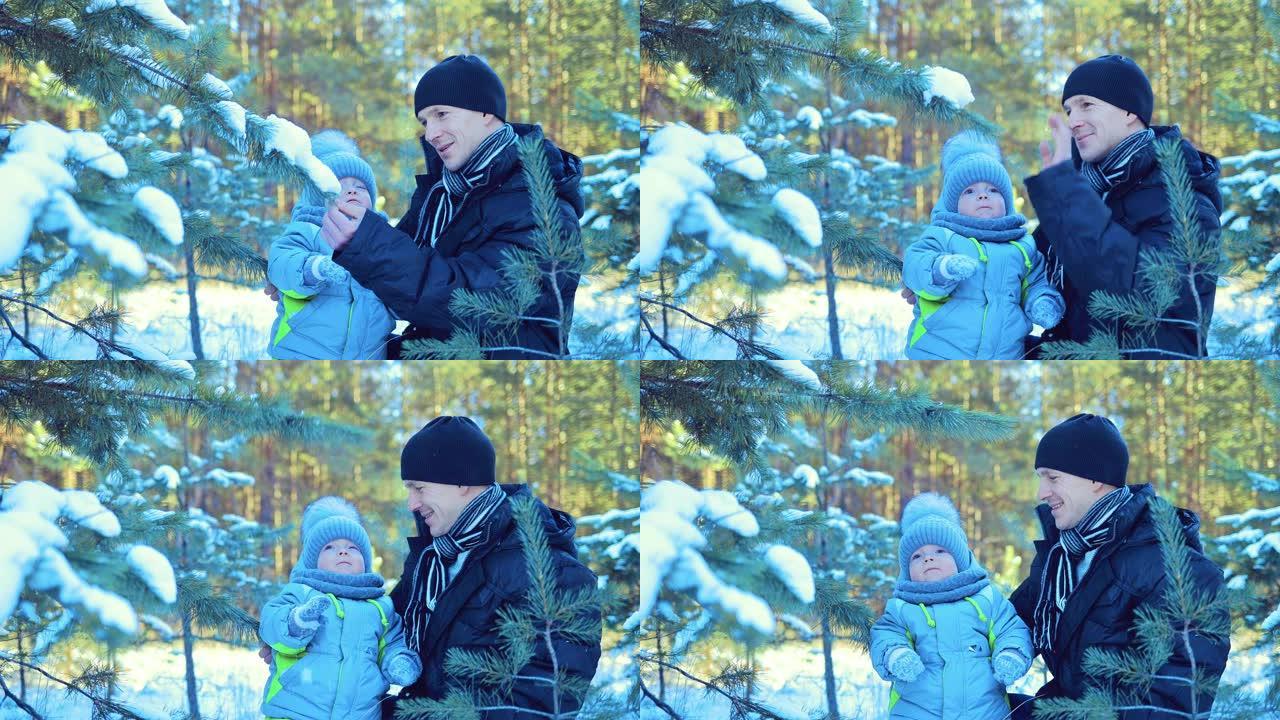 爸爸和儿子站在树上。用云杉甩掉雪