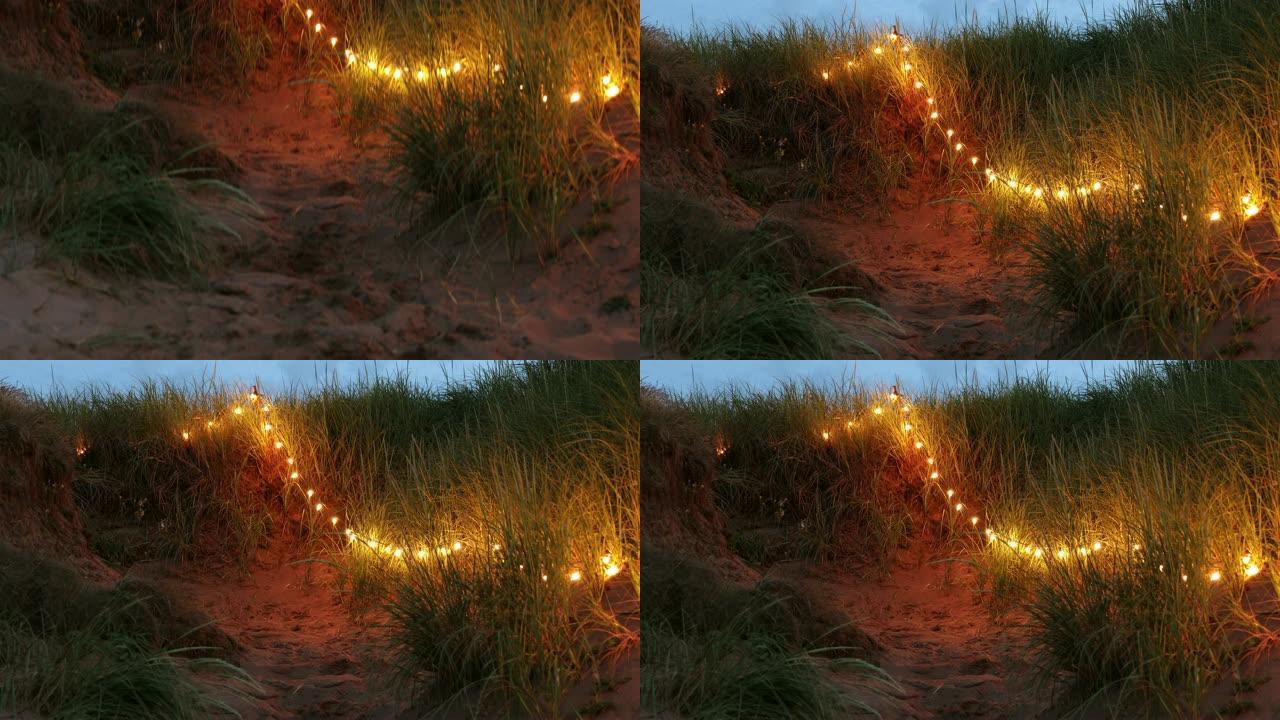 海滩小径沙丘上的灯串