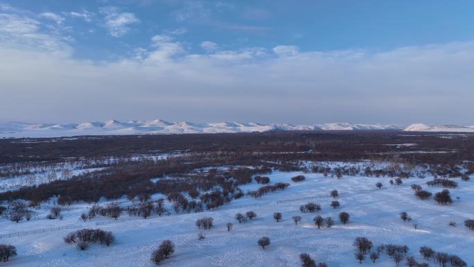 航拍4K清晨的湿地雪原树林